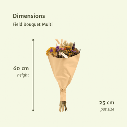 Trockenblumen Feldblumenstrauß Multi Ø25cm | Pflanzfix24.de - Pflanzfix24.de
