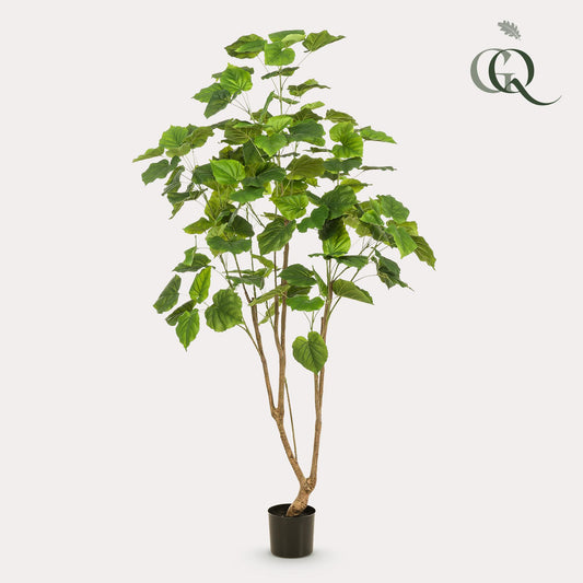 Kunstpflanze Ficus Umbellata 180 cm | Pflanzfix24.de - Pflanzfix24.de