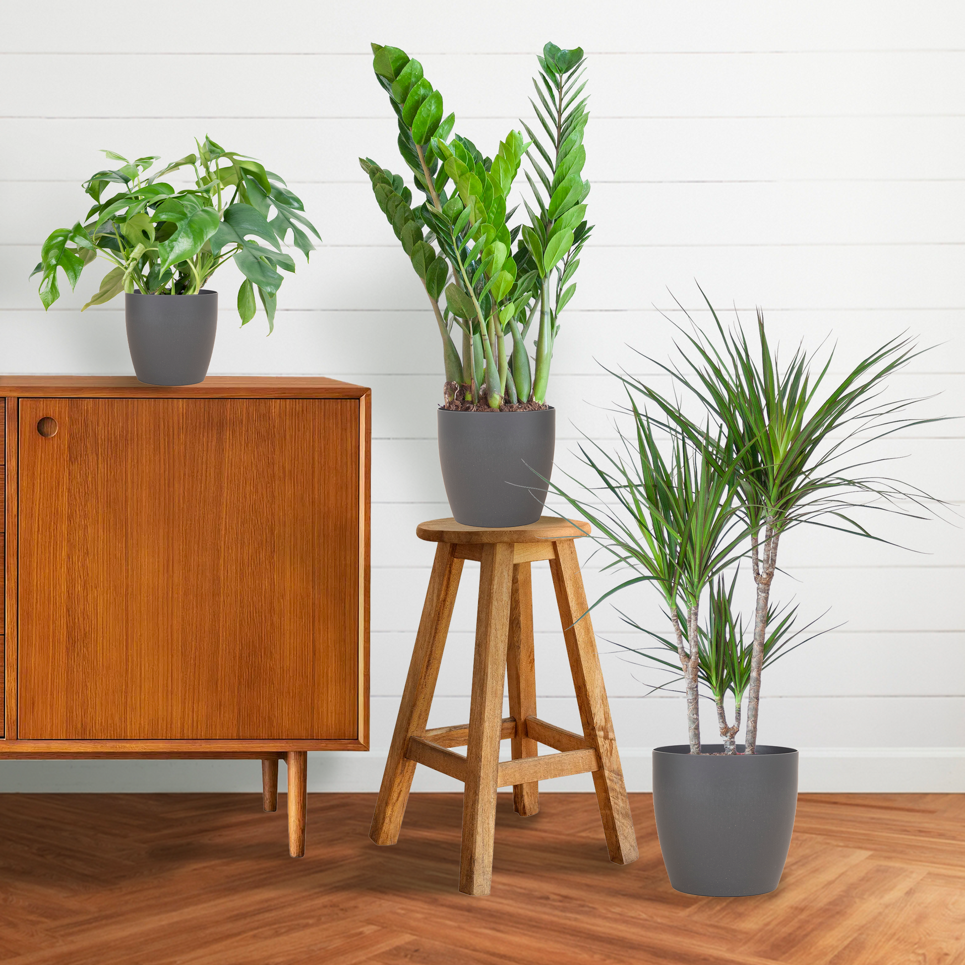 Shade Plant Box medium mit grauem Vibers-Topf | Pflanzfix24.de - Pflanzfix24.de
