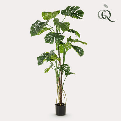 Kunstpflanze Monstera Gatenplant 180 cm | Pflanzfix24.de - Pflanzfix24.de