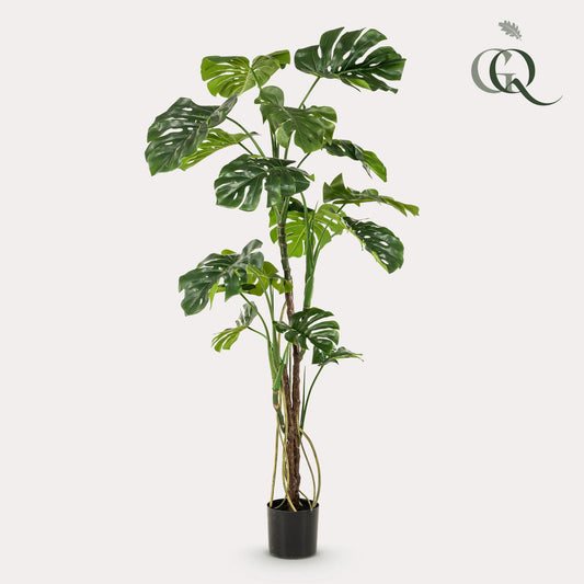 Kunstpflanze Monstera Gatenplant 180 cm | Pflanzfix24.de - Pflanzfix24.de