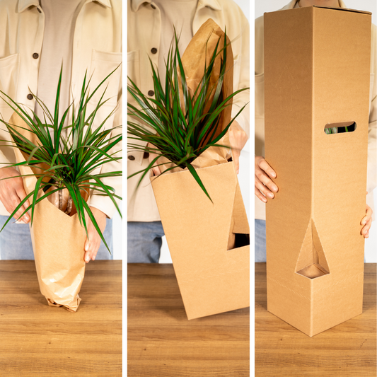 Gartenkräutermischung 4er Set Ø14cm – Frische Kräuter | Pflanzfix24.de - Pflanzfix24.de