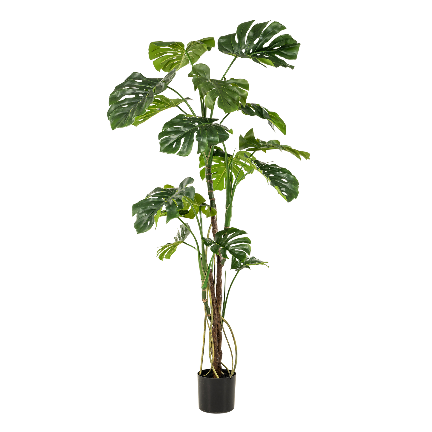 Kunstpflanze Monstera Gatenplant 180 cm | Pflanzfix24.de - Pflanzfix24.de