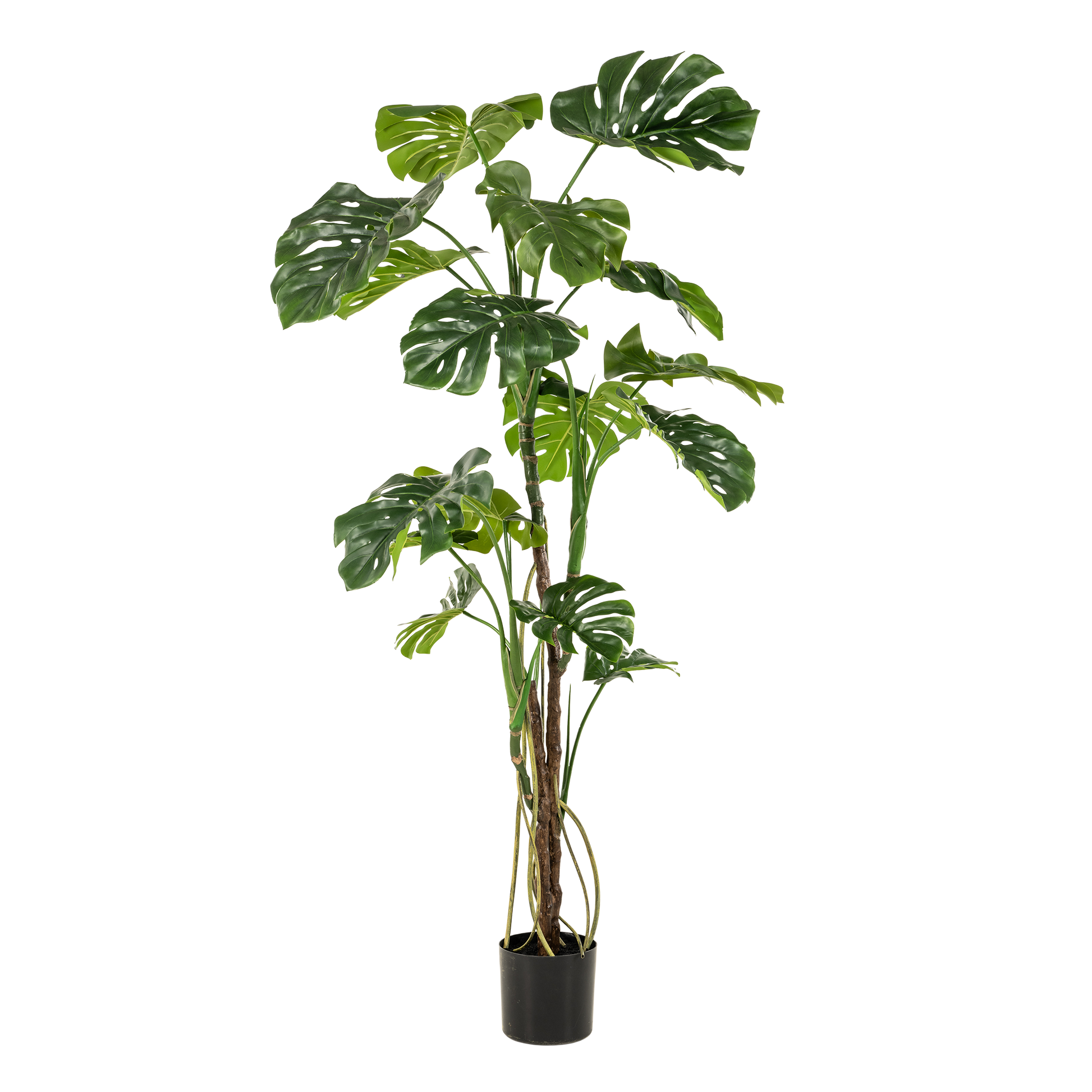 Kunstpflanze Monstera Gatenplant 180 cm | Pflanzfix24.de - Pflanzfix24.de