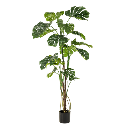 Kunstpflanze Monstera Gatenplant 180 cm | Pflanzfix24.de - Pflanzfix24.de
