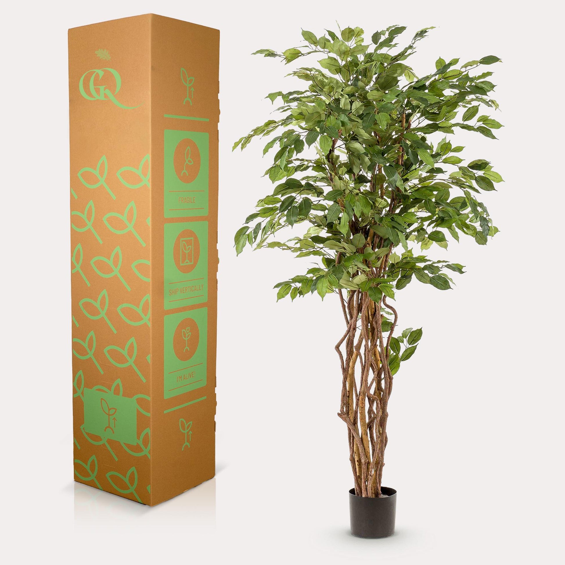 Kunst-Ficus Liana 170 cm – Realistische Deko | Pflanzfix24.de - Pflanzfix24.de