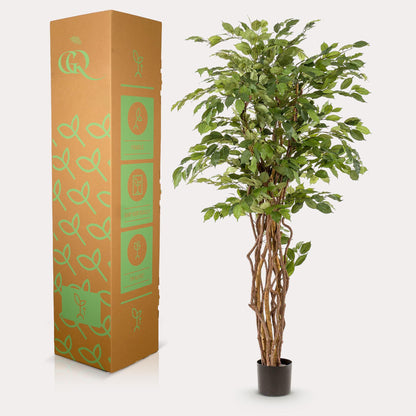 Kunst-Ficus Liana 170 cm – Realistische Deko | Pflanzfix24.de - Pflanzfix24.de