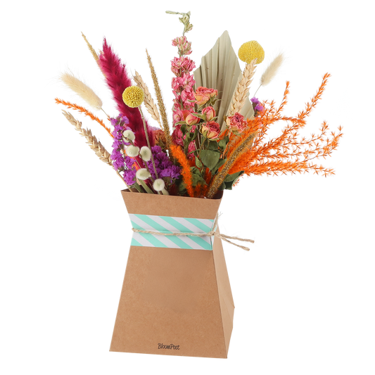 Getrocknete Blumen + faltbare Vase - Pflanzfix24.de - Pflanzfix24.de