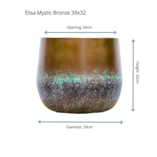 Elisa Mystic Bronze - 39x32 - Pflanzfix24.de - Pflanzfix24.de