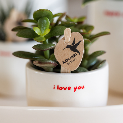 pflanzfix24 | I Love You Ziertopf - Ø6cm
