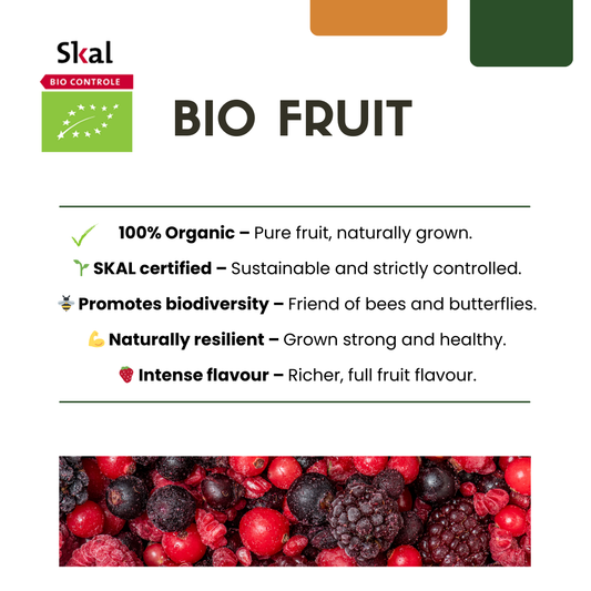Sommerfrüchte Mix Set BIO – 4 Obstpflanzen | Pflanzfix24.de - Pflanzfix24.de
