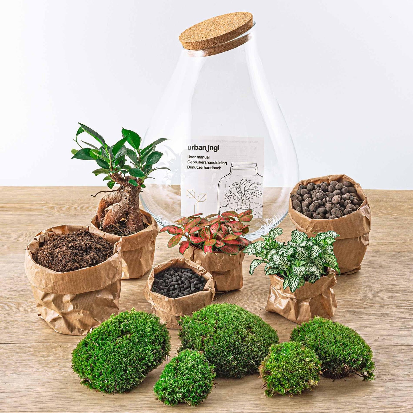 Flaschengarten - Drop XL - DIY Terrarium Set - Pflanzfix24.de - Pflanzfix24.de