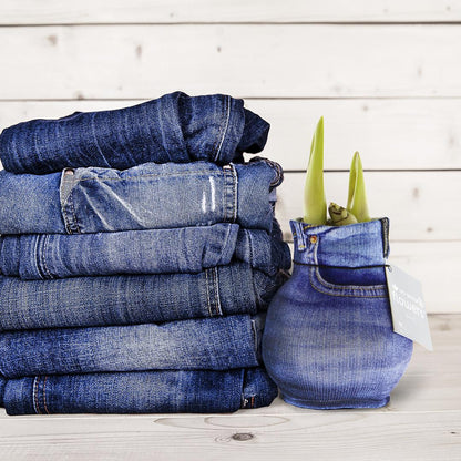 No Water Flowers® Fashionz Streetlife - Jeans + Red flower - Pflanzfix24