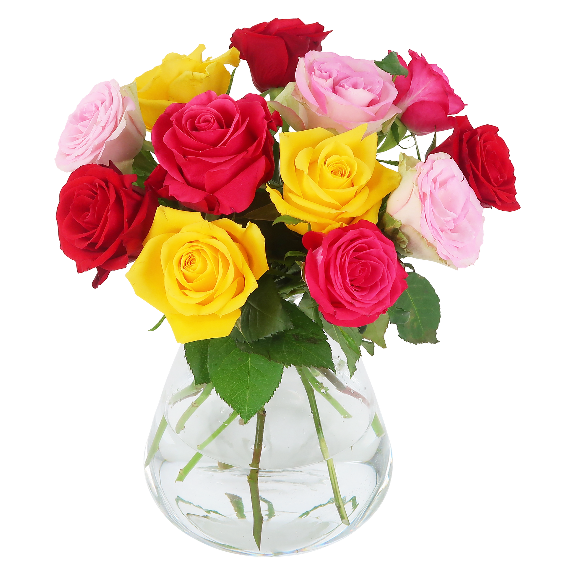 Colorful Roses - Briefkastenstrauß bunt - Pflanzfix24.de - Pflanzfix24.de