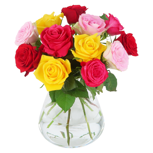 Colorful Roses - Briefkastenstrauß bunt - Pflanzfix24.de - Pflanzfix24.de
