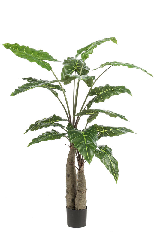 Kunst-Alocasia 150 cm – Pflanzfix24.de - Pflanzfix24.de