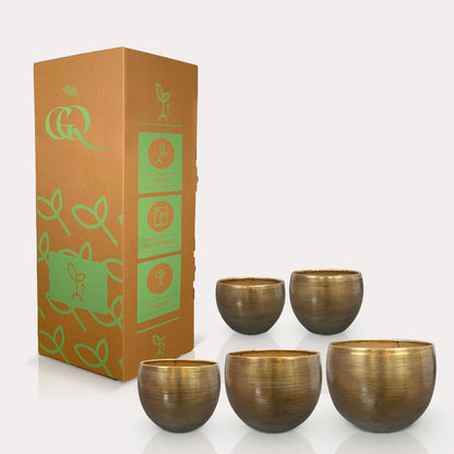 Set 5 Rowen aluminium Goudkleurig - Gold - Pflanzfix24