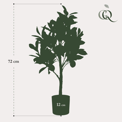 Kunst-Zitronenbaum Citrus Limonia 72 cm – Pflanzfix24.de - Pflanzfix24.de