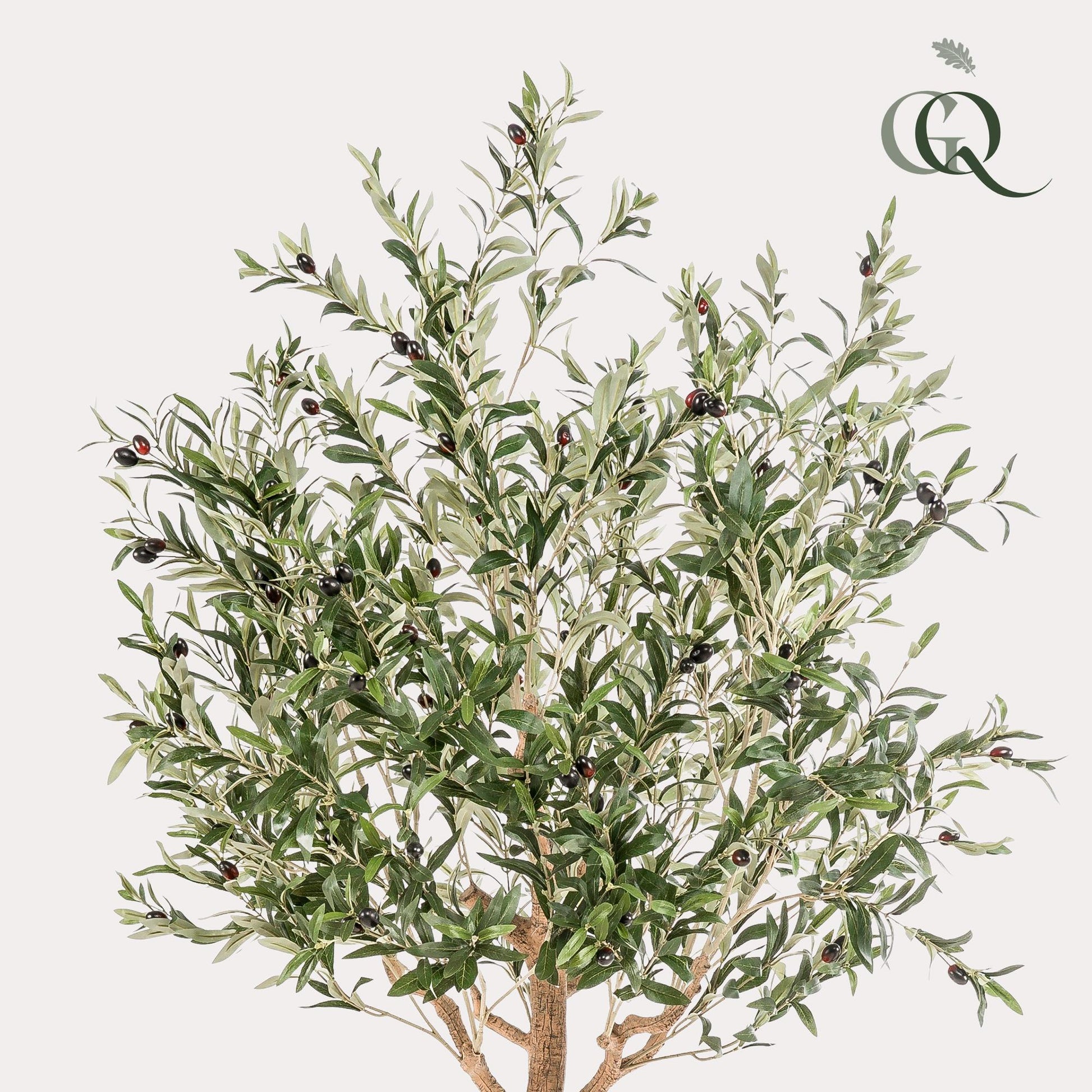 Kunstpflanze Olea europaea Olivenbaum 180 cm – Pflegeleicht & Dekorativ | Pflanzfix24.de - Pflanzfix24.de