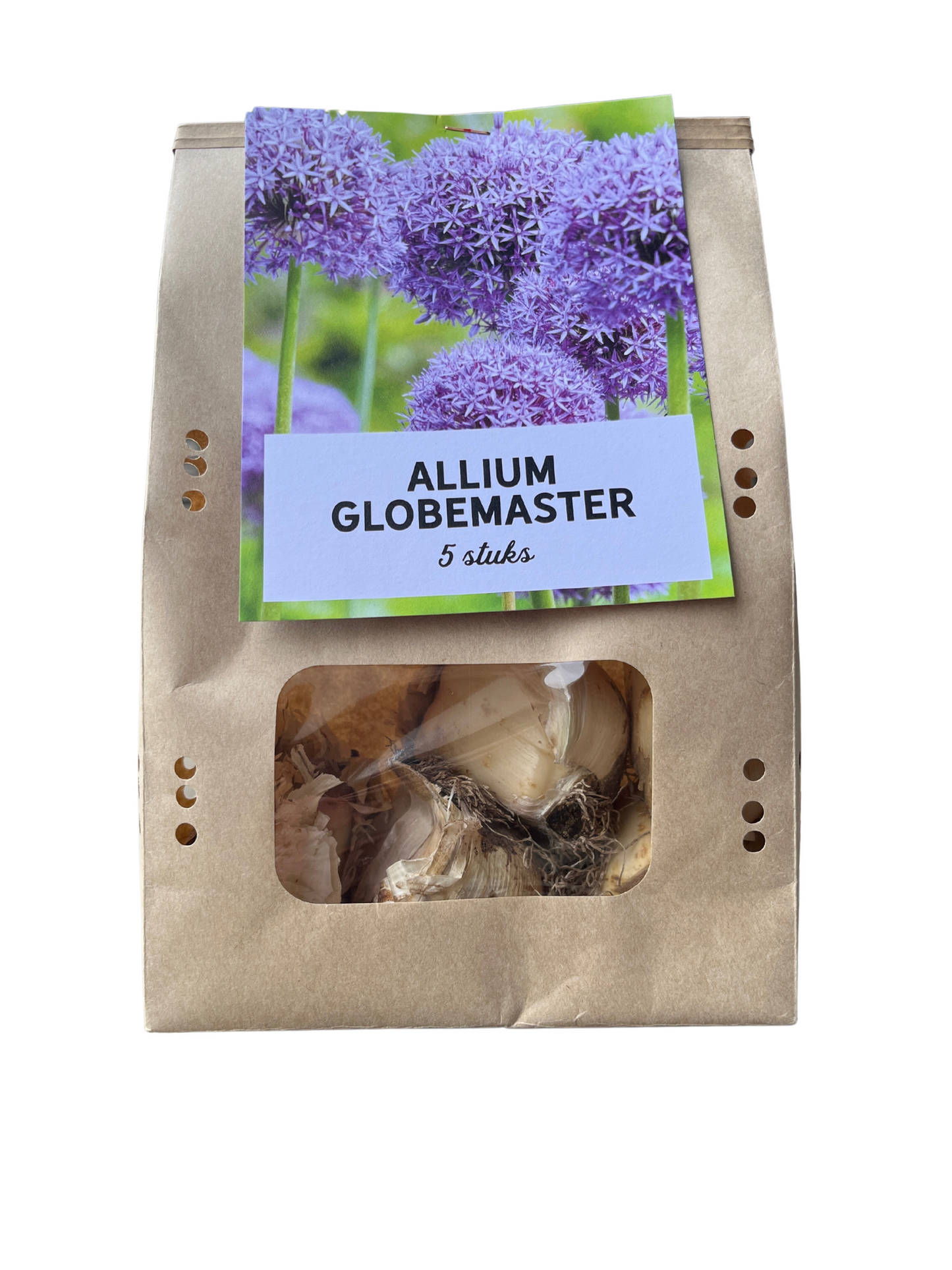 Globemaster - Allium bollen 5 stuks - Pflanzfix24