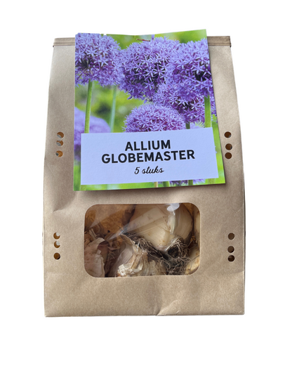 Globemaster - Allium bollen 5 stuks - Pflanzfix24