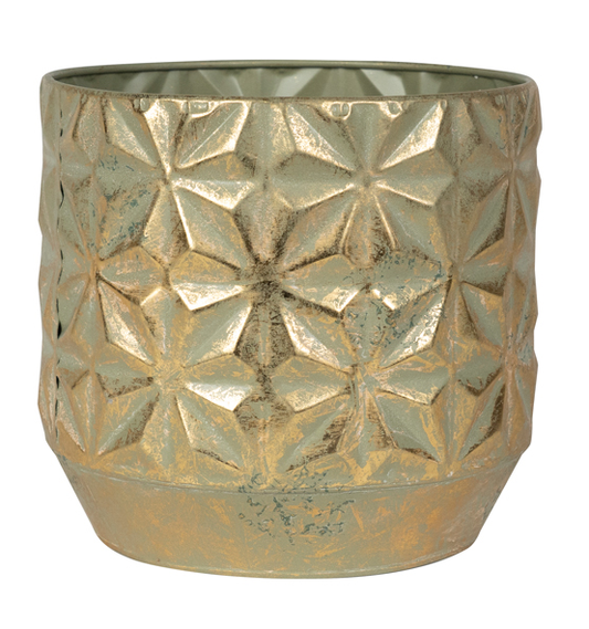 Pot Linske Shiny Gold - D15 bei Pflanzfix24