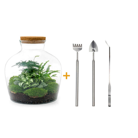 Flaschengarten DIY Set - Fat Joe grün - 30 cm - Rake + Shovel + Tweezer - Pflanzfix24