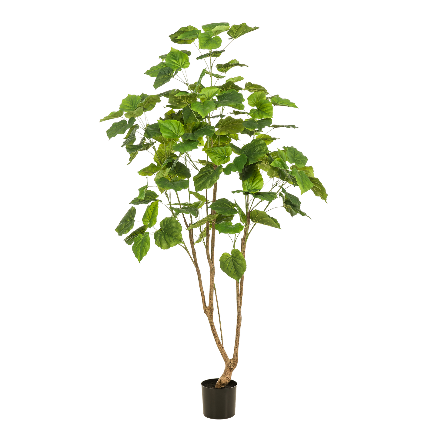 Kunstpflanze Ficus Umbellata 180 cm | Pflanzfix24.de - Pflanzfix24.de
