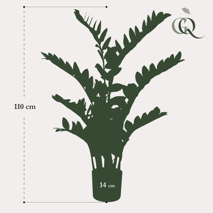 Kunst-Zamioculcas (Zimmerpalme) 110 cm – Pflegeleichte Deko | Pflanzfix24.de - Pflanzfix24.de