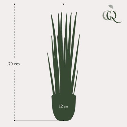 Kunst-Sansevieria Cylindrica 70 cm – Frauenzunge | Pflanzfix24.de - Pflanzfix24.de