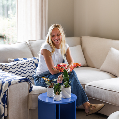 4er Set Phalaenopsis Bozen Orange – Combi Deal Ø9cm | Pflanzfix24.de - Pflanzfix24.de