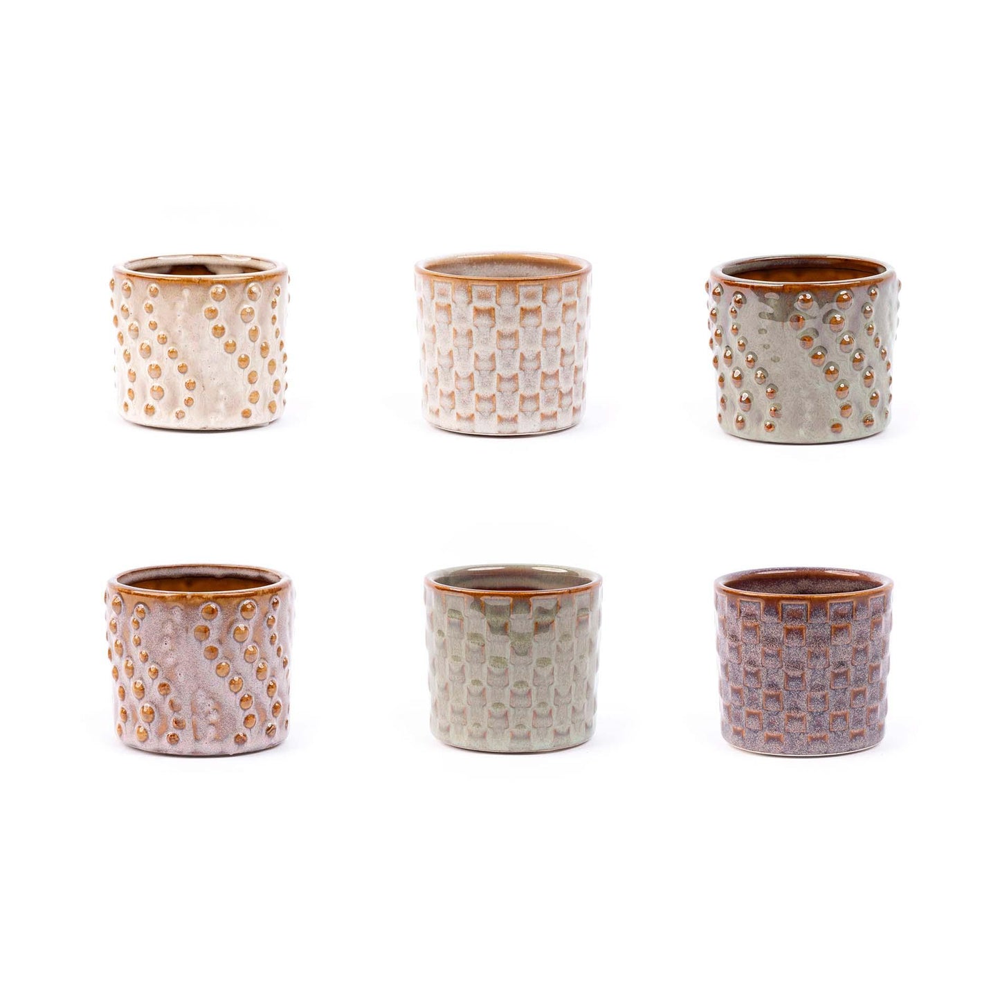 Mini planten set 6 - pflanzfix24