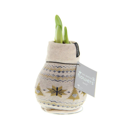 No Water Flowers® Fashionz Nordic - Beige + Red flower - Pflanzfix24