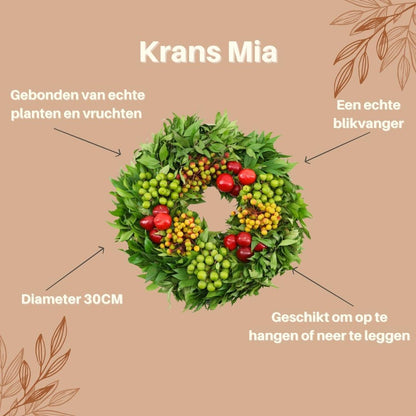Echter Kranz Mia | Ø 30 cm - Pflanzfix24