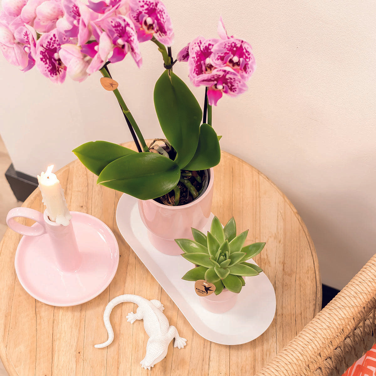 Kolibri Home ovales Tablett Weiß Ø30cm | Pflanzfix24.de - Pflanzfix24.de