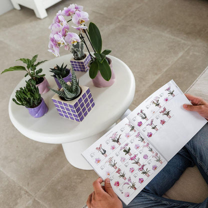 Kolibri Home Mosa Ziertopf Lilac 9cm – pflanzfix24