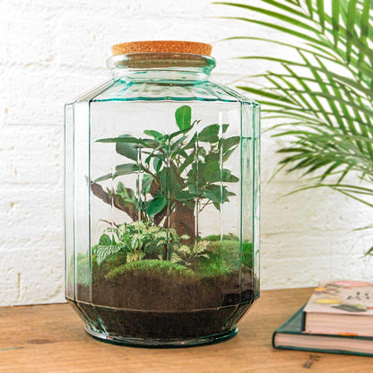 Flaschengarten DIY-Set XL - Pflanzfix24