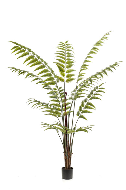 Kunstpflanze Rumohra Adiantiformis 180 cm – Lederfarn | Pflanzfix24.de - Pflanzfix24.de