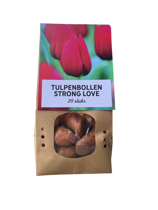 Strong Love - Tulpenbollen 20 stuks - Pflanzfix24