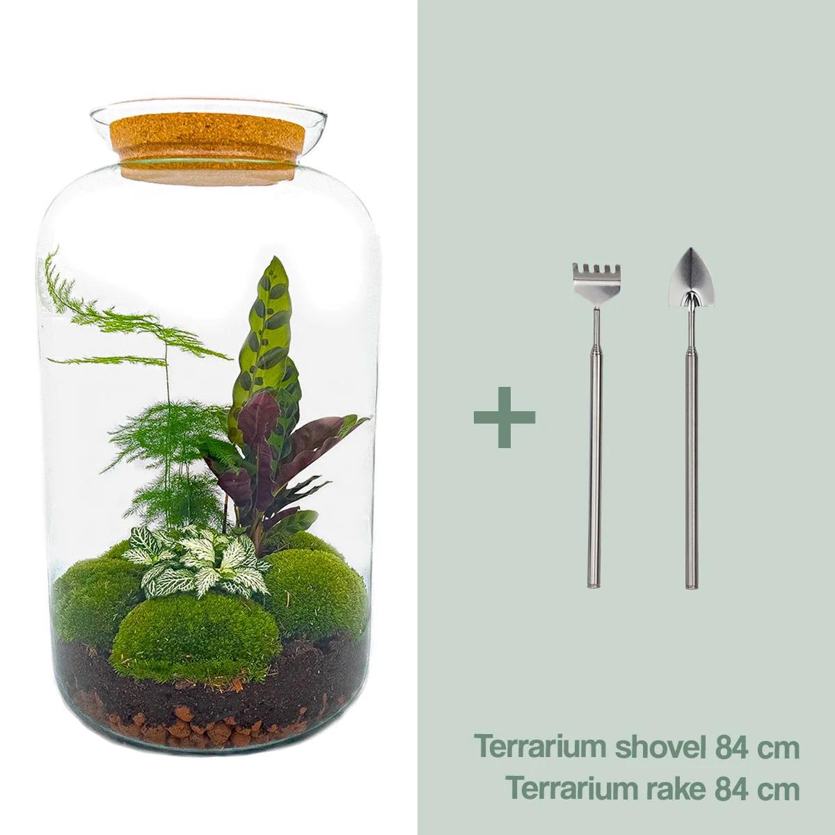 Flaschengarten - Botanical Sven XL - DIY Set - Pflanzfix24.de - Pflanzfix24.de