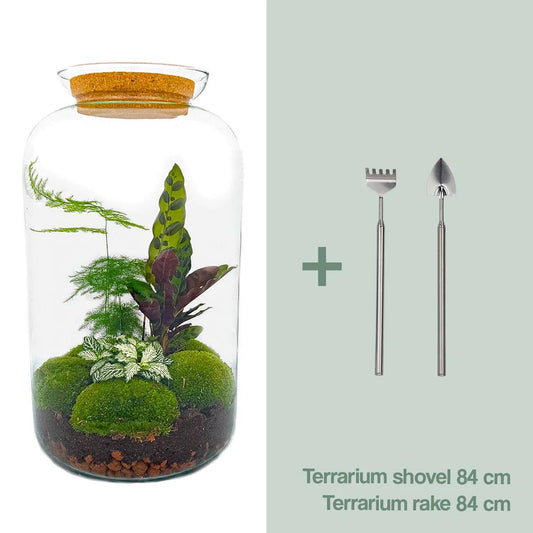 Flaschengarten - Botanical Sven XL - DIY Set - Pflanzfix24.de - Pflanzfix24.de