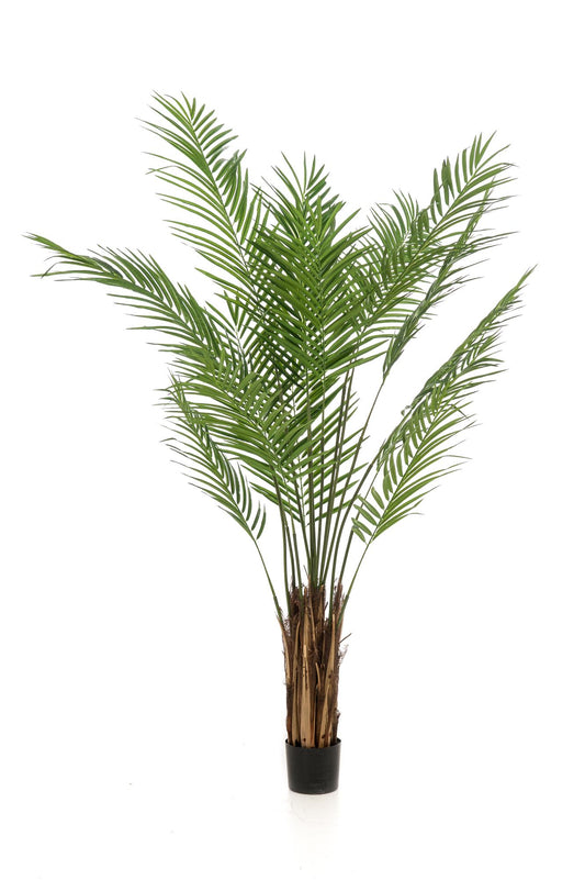 Kunst-Goldpalme Areca Lutescens 180 cm – Pflanzfix24.de - Pflanzfix24.de