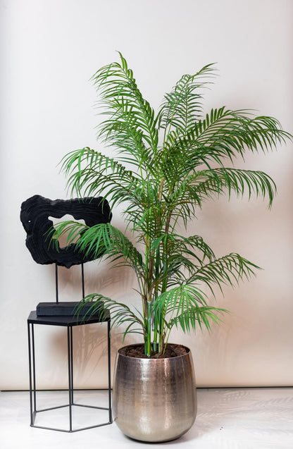Kunstpalme Chamaedorea Elegans 120 cm – Pflanzfix24.de - Pflanzfix24.de