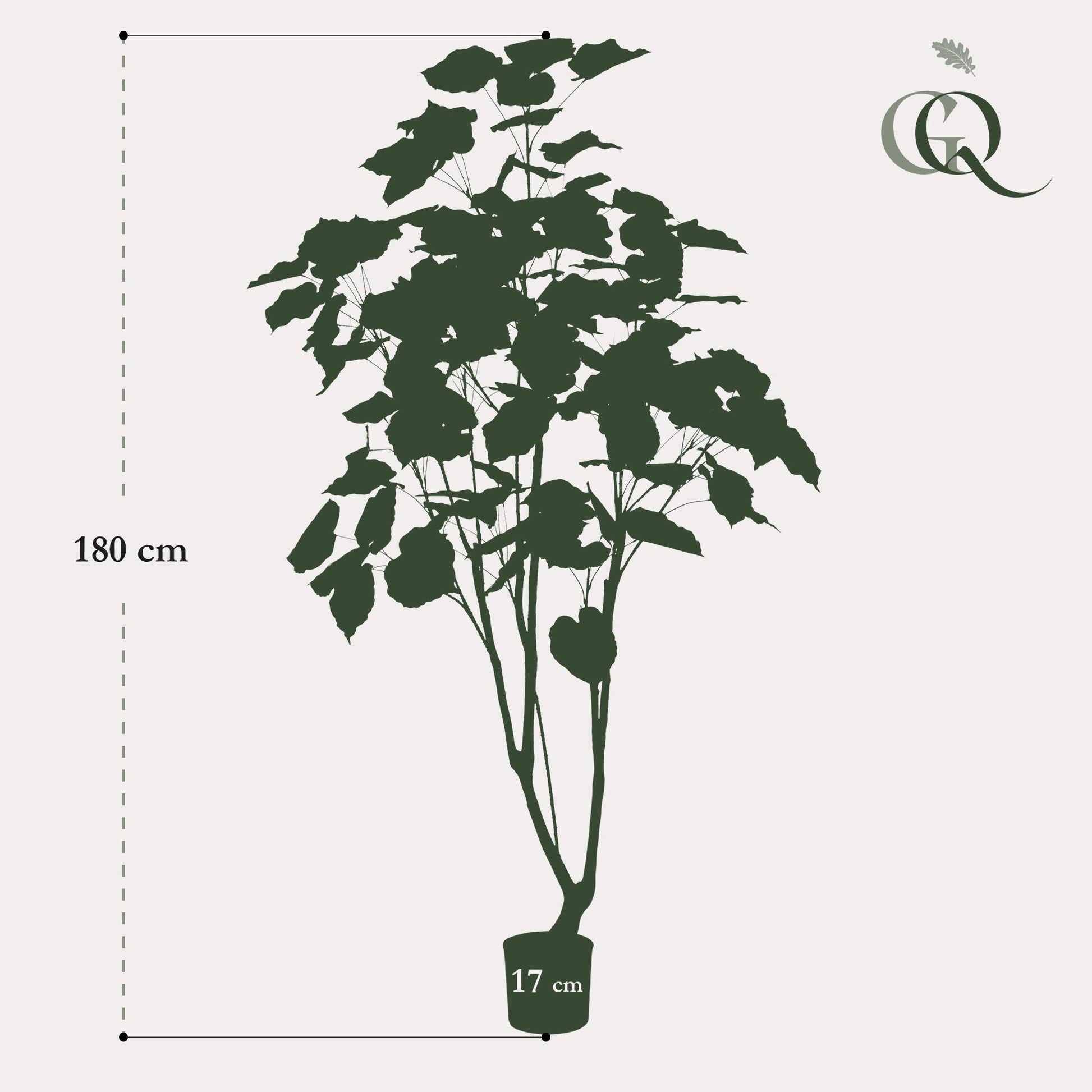 Kunstpflanze Ficus Umbellata 180 cm | Pflanzfix24.de - Pflanzfix24.de