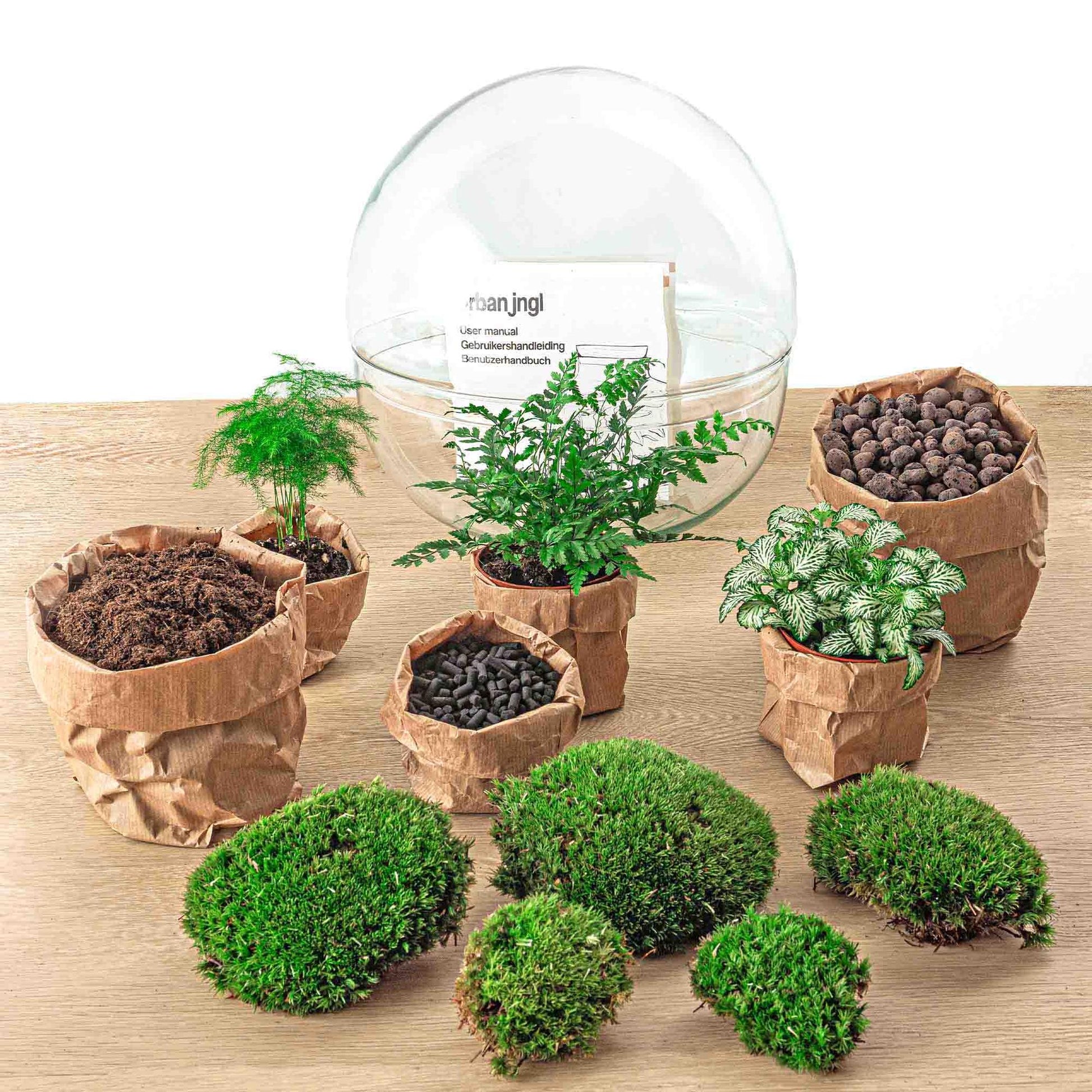 Flaschengarten - Dome XL - ↕ 30 cm - Rake + Shovel + Tweezer - Pflanzfix24.de - Pflanzfix24.de