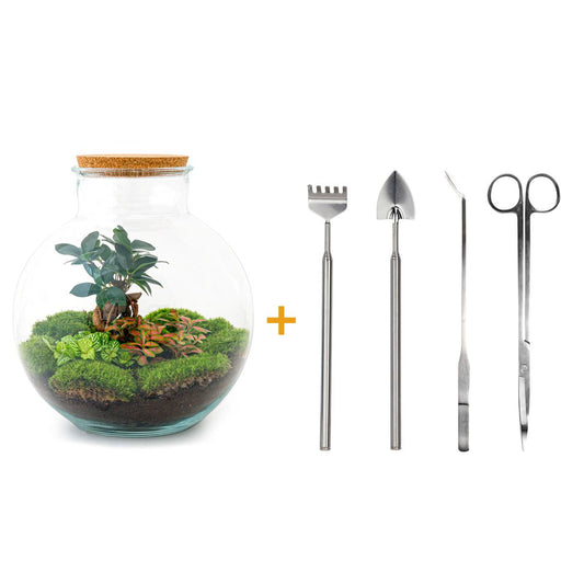 Flaschengarten - Bolder Bob Bonsai Set - Pflanzfix24