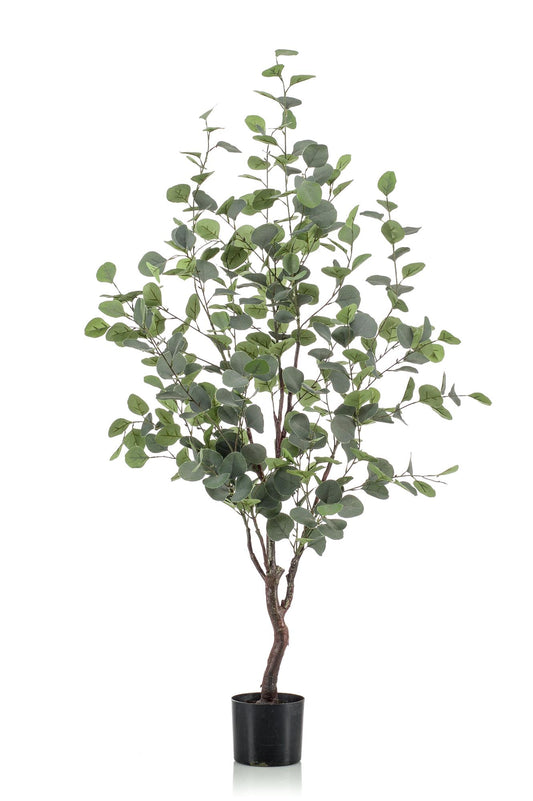 Eucalyptusbaum Kunstpflanze 120cm – Blauer Gummibaum | Pflanzfix24.de - Pflanzfix24.de