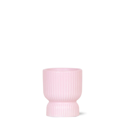 Diabolo Dekotopf Pink Ø6cm – Pflanzfix24