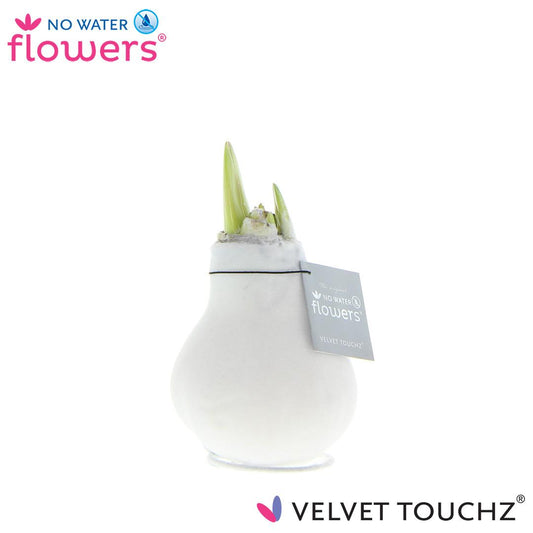 No Water Flowers Velvet Touchz® White - ↕15cm - Pflanzfix24
