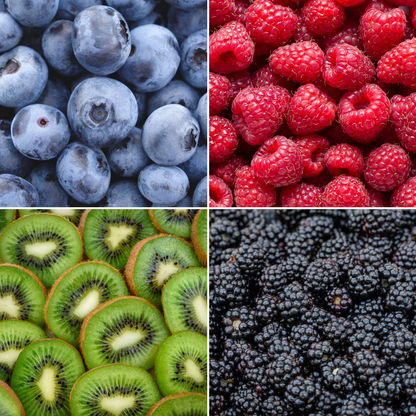 Sommerfruchten BIO Obstpflanzen Mix - 4 Sorten - pflanzfix24
